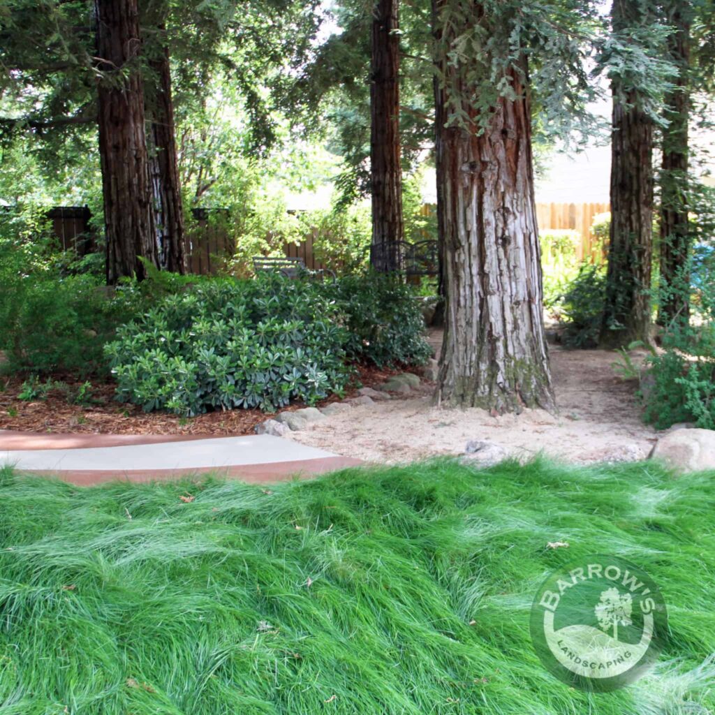 Whimsical Garden Barrows Landscaping