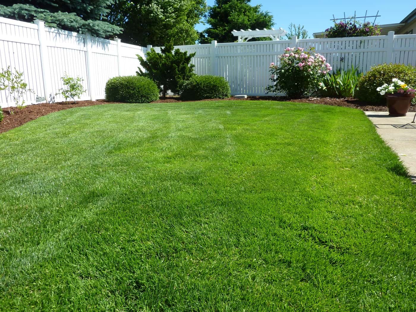 Hydro store seeding grass